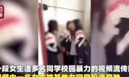 河南爆料女孩视频大全集,揭秘背后真相与争议