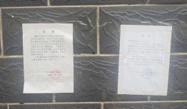 红星新闻爆料怎么查,如何追踪爆料来源，深度解析事件真相