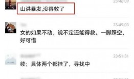 蓝玫瑰爆料聊天记录视频,聊天记录视频背后的惊人真相